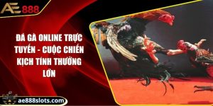 Đá gà online trực tuyến - Cuộc chiến kịch tính thưởng lớn