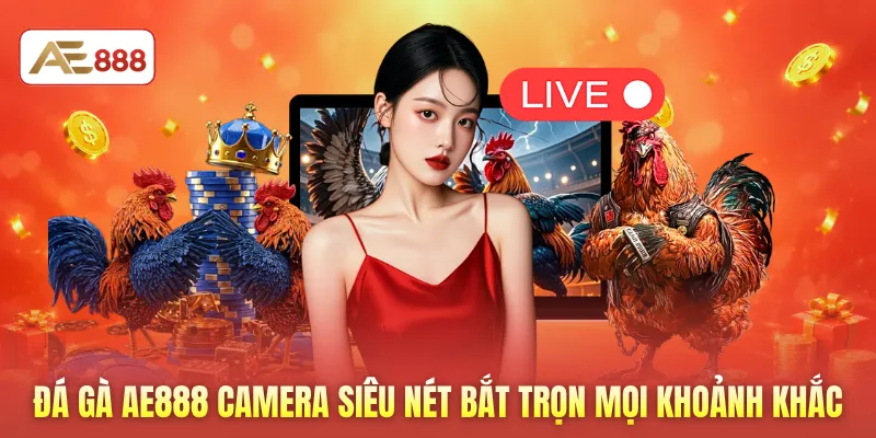 Đá gà AE888 camera siêu nét bắt trọn mọi khoảnh khắc