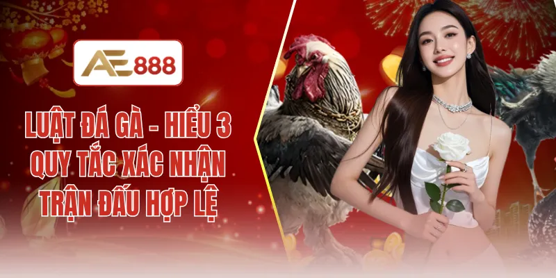 Luật đá gà - Hiểu 3 quy tắc xác nhận trận đấu hợp lệ