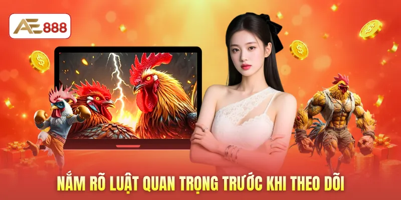 Nắm rõ luật quan trọng trước khi theo dõi